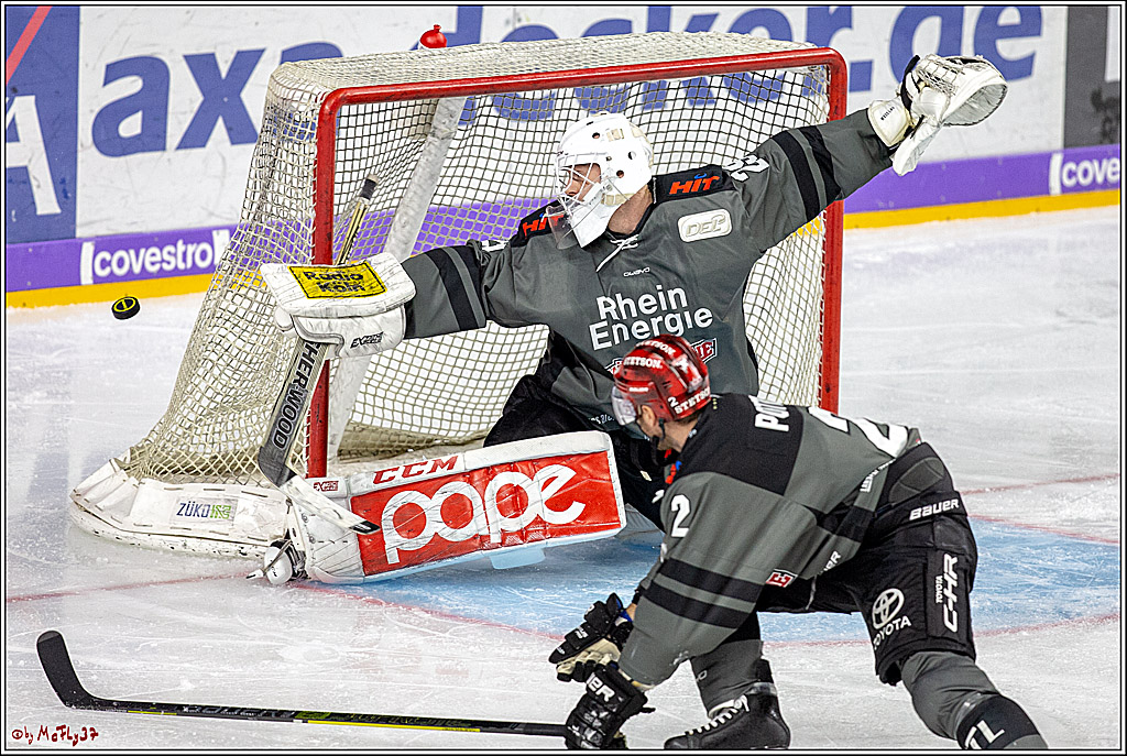 DEL; Koelner Haie - Straubing Tigers, 02.12.2018